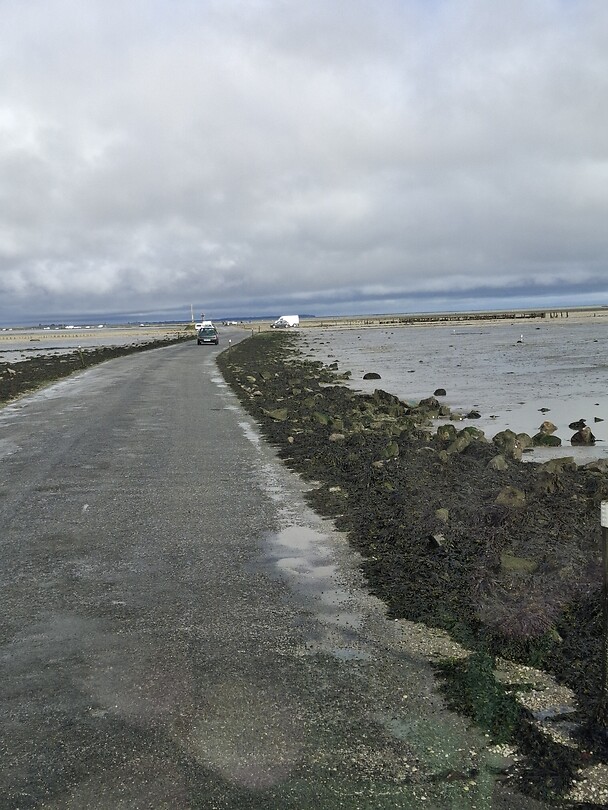 Le site de Gois
