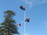 IMG_5942