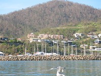 IMG_6021