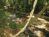 IMG_6087