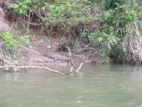 IMG_6107
