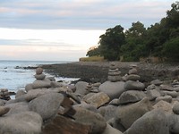 IMG_6132