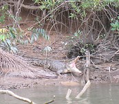 20170430_120038