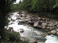 IMG_6121