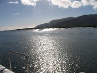 IMG_6195