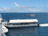 IMG_6219