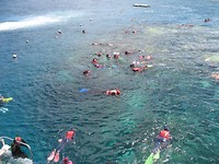 IMG_6217