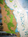 IMG_6227