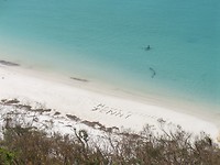 IMG_6034