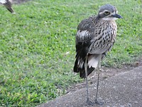IMG_2711