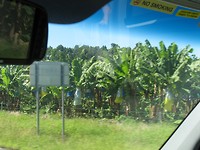 IMG_6071