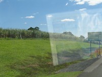 IMG_6075