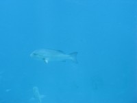 IMG_3011