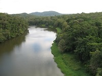 IMG_6167