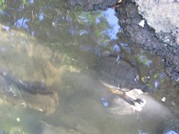 IMG_3050