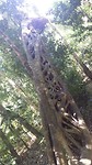 20170430_110143_resized