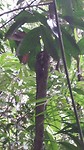 20170430_115131_resized