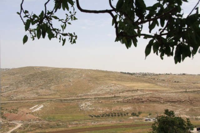 De velden van Efratha | Foto | Israël, het land van melk en honing.
