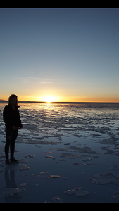 Mirte Houwing