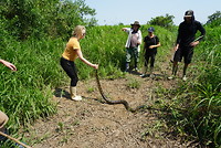 LRG_DSC00312