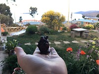 IMG_1112