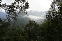 LRG_DSC00427