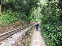 IMG_1234