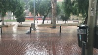 IMG_1810