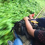 IMG_2197