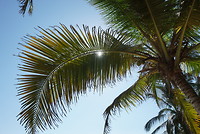 LRG_DSC00946