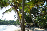 LRG_DSC00948