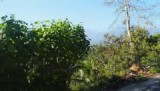 Rinjani from truck up close