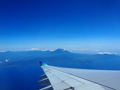 P8290012