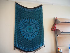 P8300047