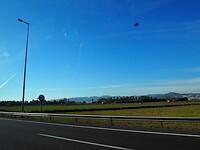 P1010305