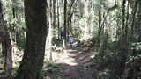 Wanganui maire loop track 27-10