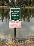 IMG-20200128-WA0004
