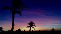 IMG_2795