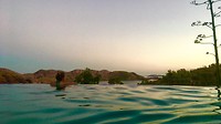 IMG_2649