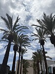 IMG_9783