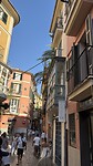 IMG_0050