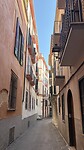 IMG_0052