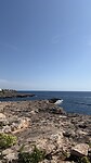 IMG_0120