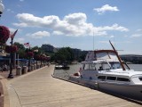 Potomac met op de achtergrond Watergate Hotel