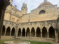 IMG_0394