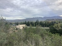 IMG_0399