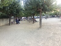 IMG_0407