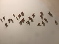 IMG_0419