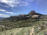 IMG_0422
