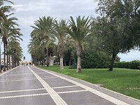 IMG_7951